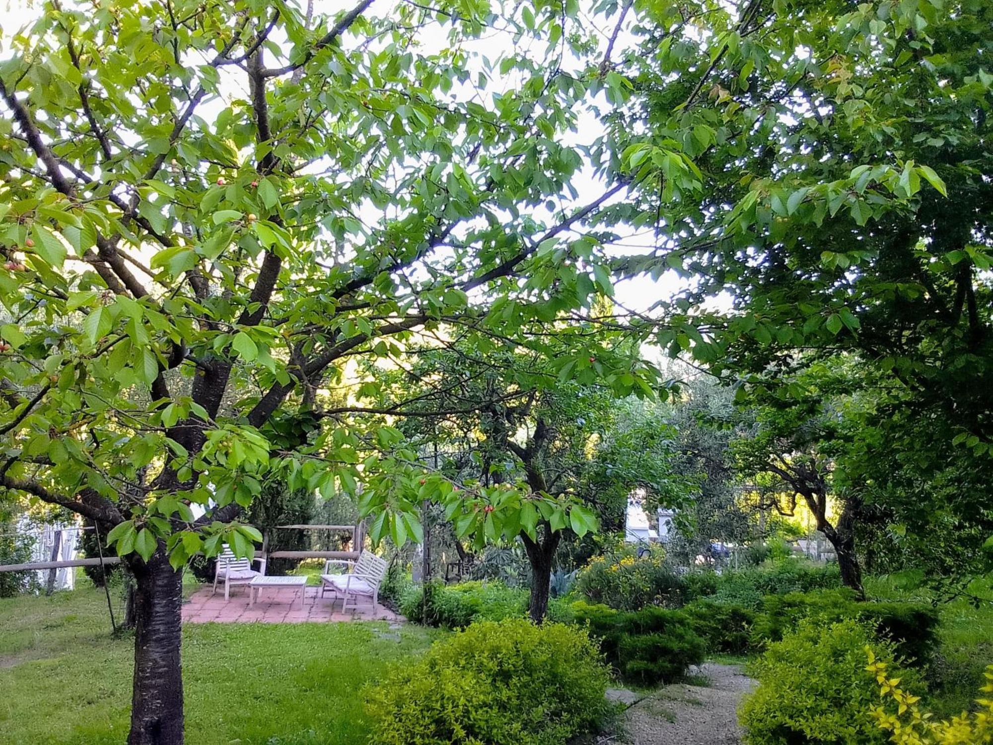 La Concordia